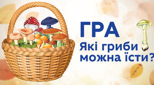 Дидактична гра  "Отруйні та їстівні гриби". 24 картки з їстівними та отруйними  грибами