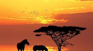 План-конспект уроку з англійської мови "Africa" 6 клас