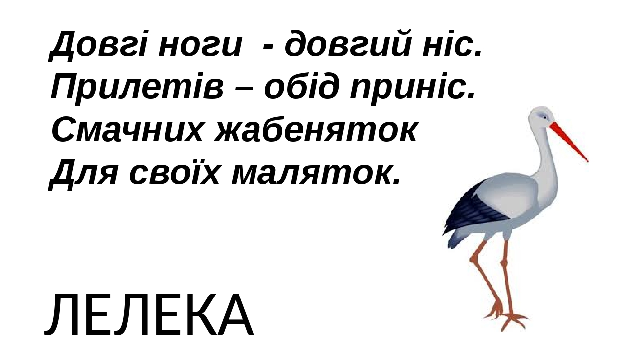 Довгі ноги  - довгий ніс. Прилетів – обід приніс. Смачних жабеняток Для своїх маляток. ЛЕЛЕКА