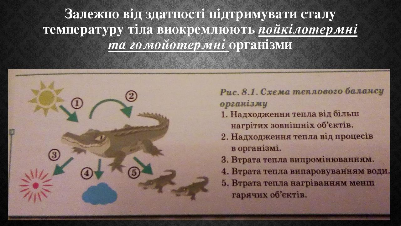 Залежно від здатності підтримувати сталу температуру тіла виокремлюють пойкілотермні та гомойотермні організми