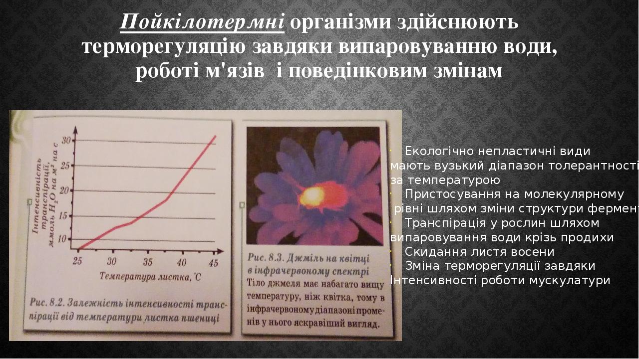Пойкілотермні організми здійснюють терморегуляцію завдяки випаровуванню води, роботі м'язів і поведінковим змінам Екологічно непластичні види мають...