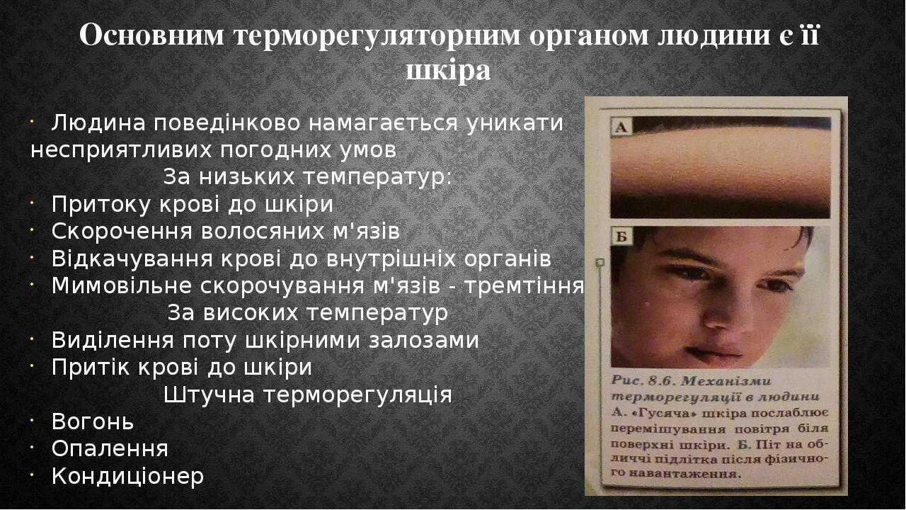 Основним терморегуляторним органом людини є її шкіра Людина поведінково намагається уникати несприятливих погодних умов За низьких температур: Прит...