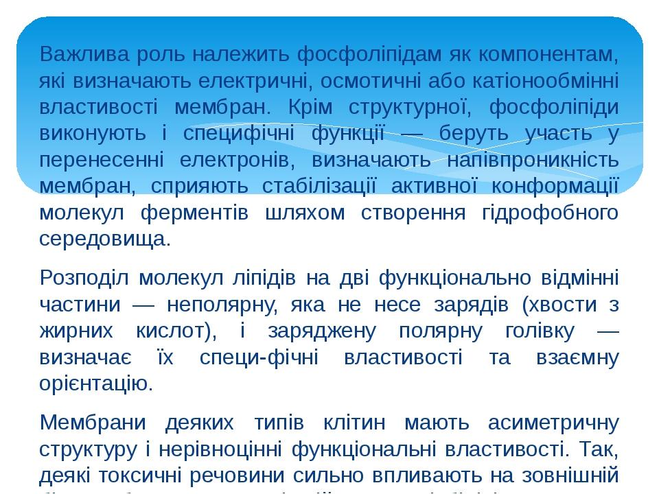 Важлива роль належить фосфоліпідам як компонентам, які визначають електричні, осмотичні або катіонообмінні властивості мембран. Крім структурної, ф...