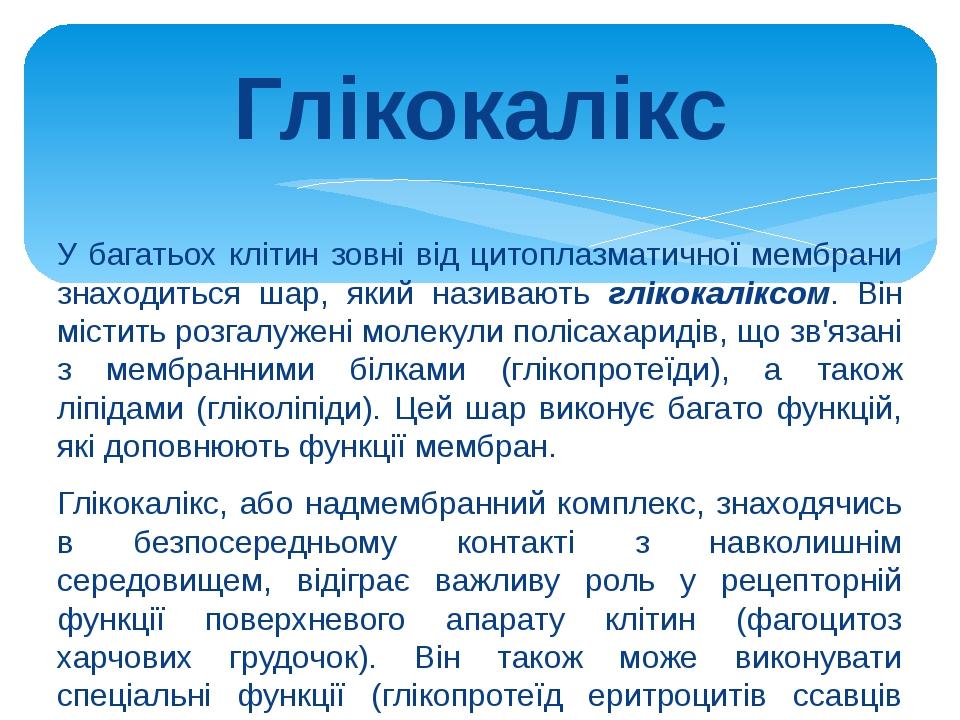 Глікокалікс У багатьох клітин зовні від цитоплазматичної мембрани знаходиться шар, який називають глікокаліксом. Він містить розгалужені молекули п...