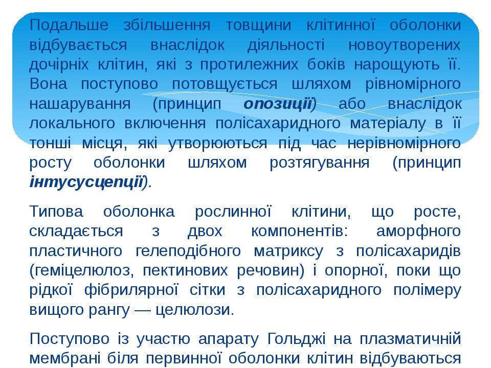 Подальше збільшення товщини клітинної оболонки відбувається внаслідок діяльності новоутворених дочірніх клітин, які з протилежних боків нарощують ї...
