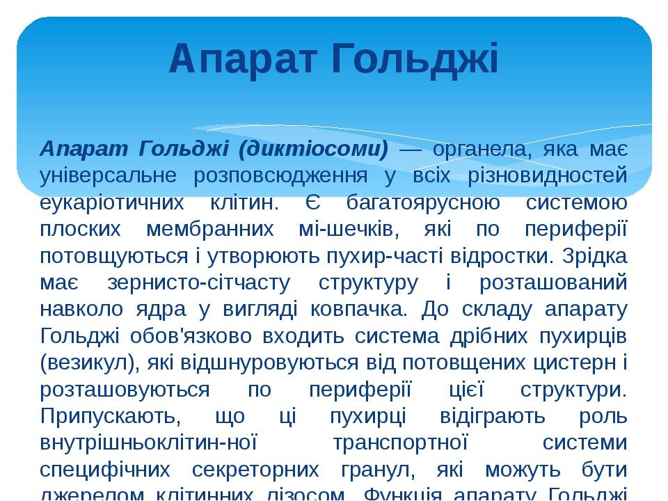 Апарат Гольджі Апарат Гольджі (диктіосоми) — органела, яка має універсальне розповсюдження у всіх різновидностей еукаріотичних клітин. Є багатоярус...