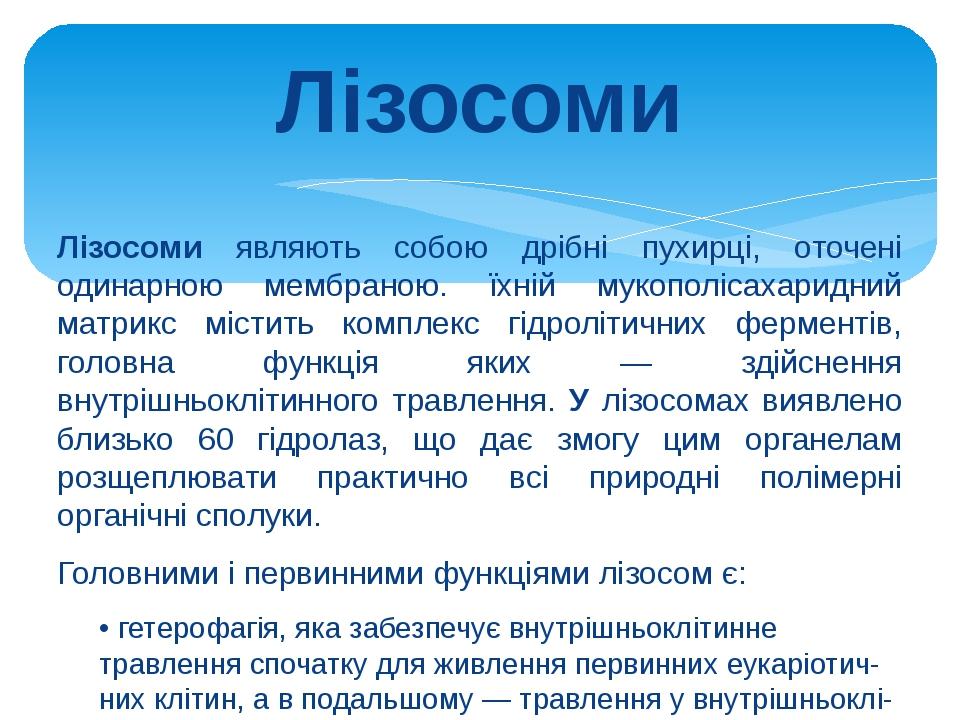 Лізосоми Лізосоми являють собою дрібні пухирці, оточені одинарною мембраною. їхній мукополісахаридний матрикс містить комплекс гідролітичних фермен...