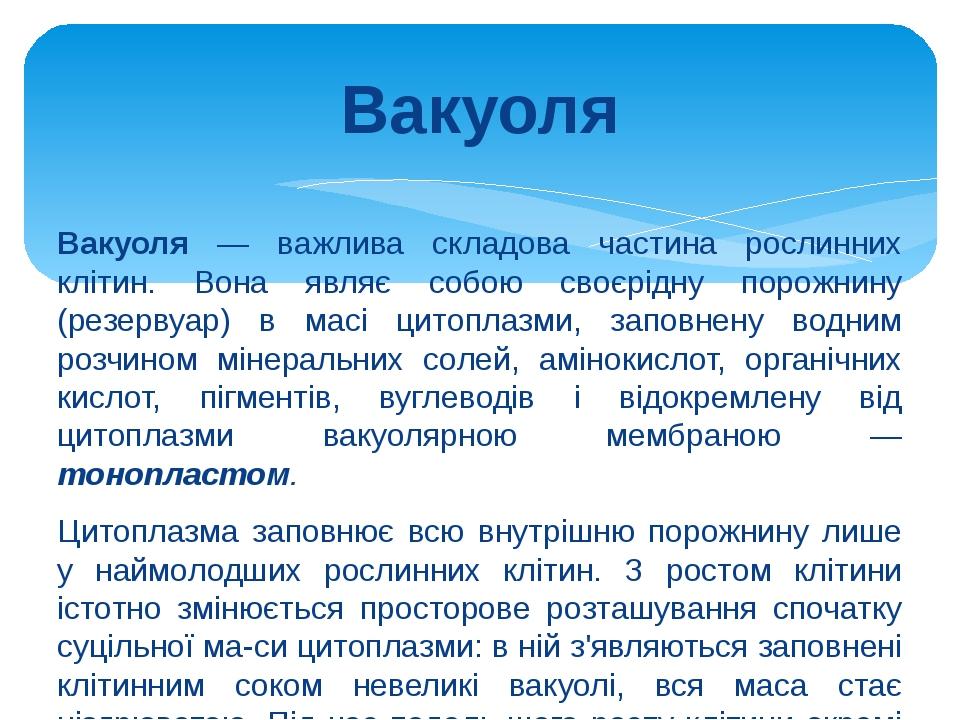 Вакуоля Вакуоля — важлива складова частина рослинних клітин. Вона являє собою своєрідну порожнину (резервуар) в масі цитоплазми, заповнену водним р...