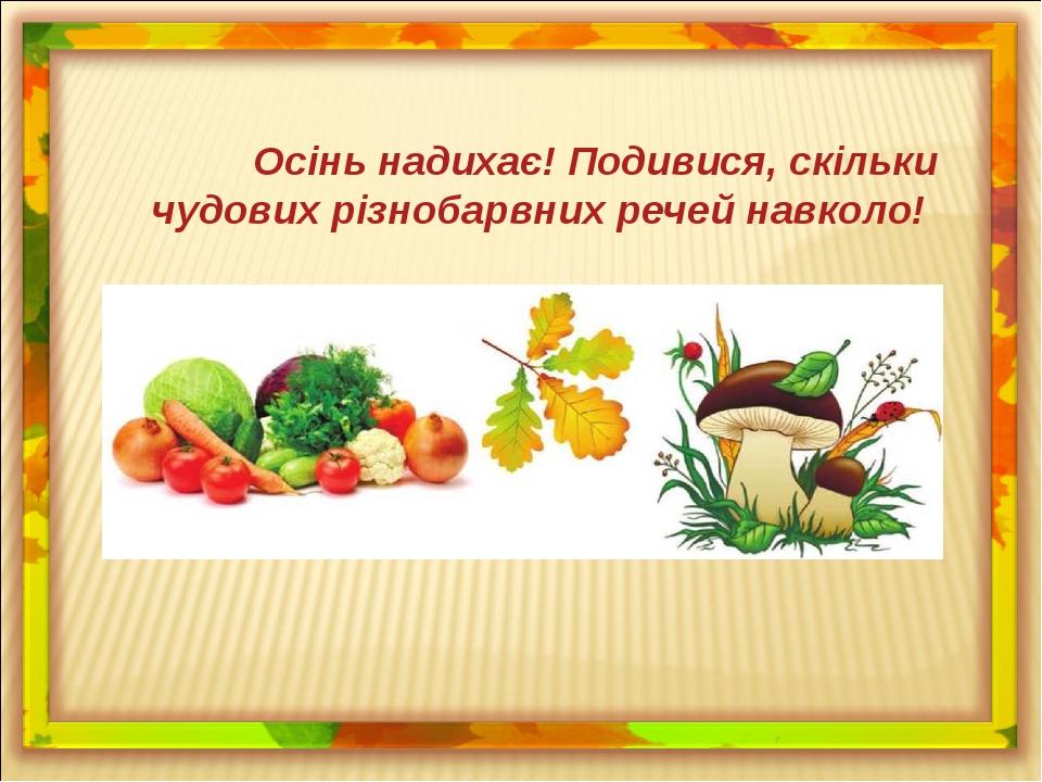 Осінь надихає! Подивися, скільки чудових різнобарвних речей навколо!