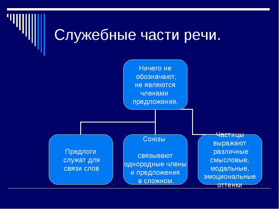 часто», «всегда», «иногда», «никогда» - наречия?