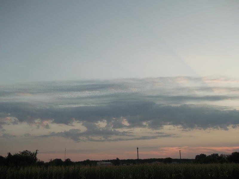 01006mvd-9f4d-800x600.jpg