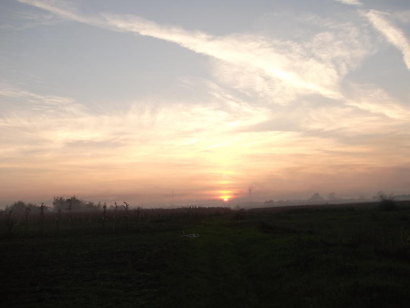 01006mvf-4395-800x600.jpg