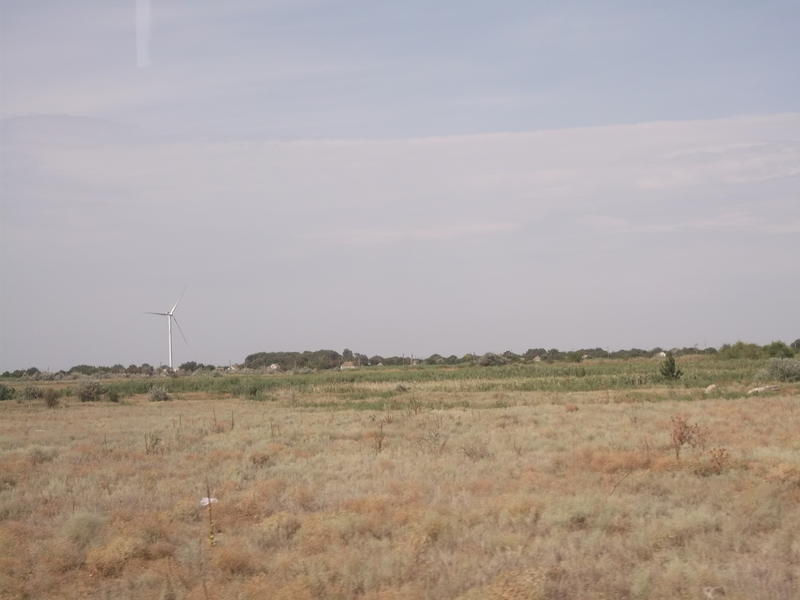 01006mvj-188a-800x600.jpg