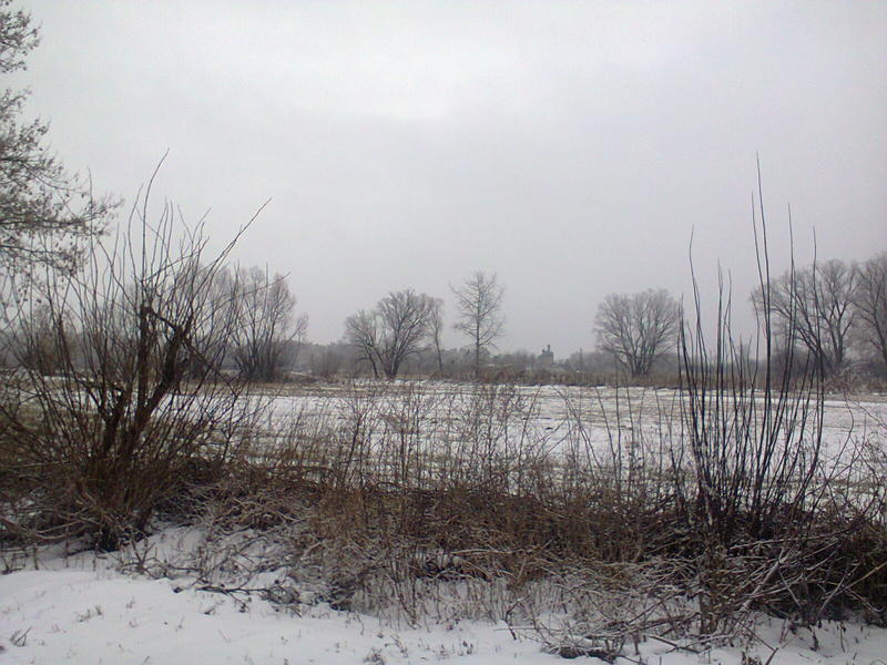 01006mwd-c090-800x600.jpg