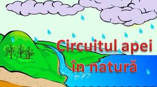 Circuitul apei în natură