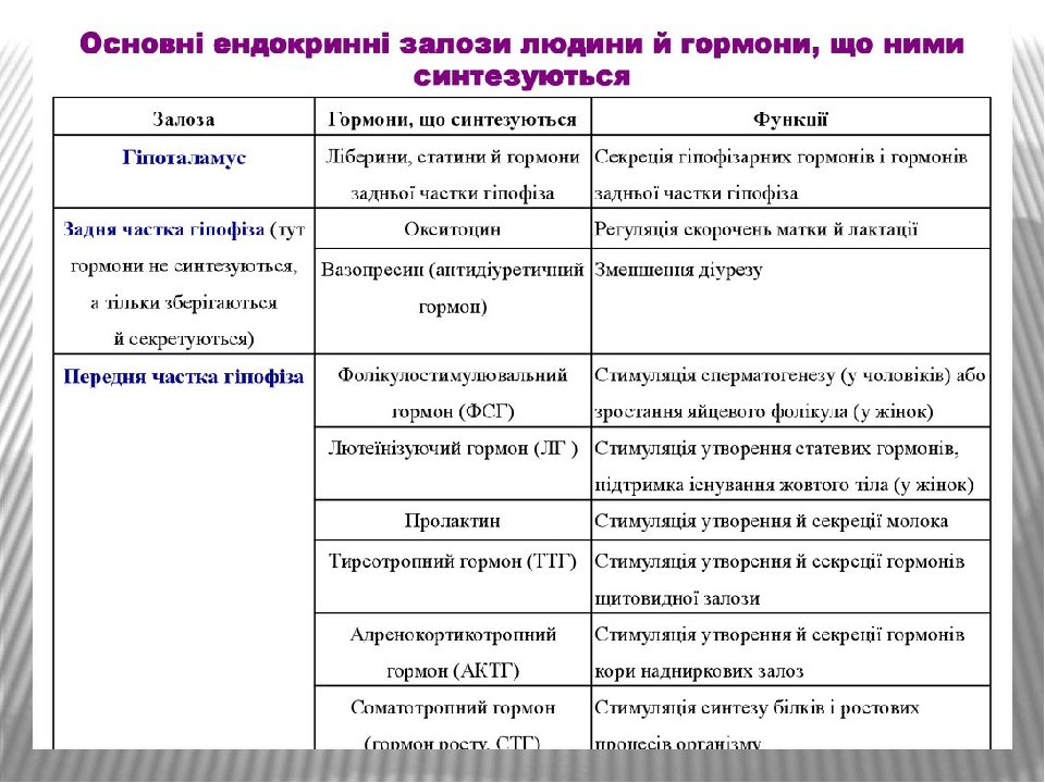 План лабораторного обследования при артрите