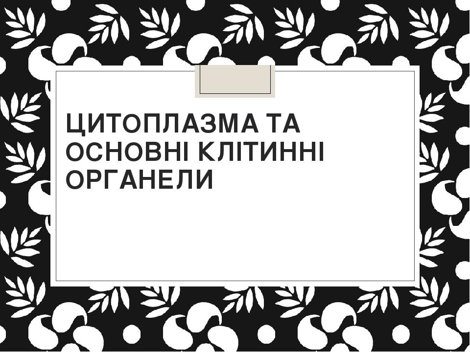 ЦИТОПЛАЗМА ТА ОСНОВНІ КЛІТИННІ ОРГАНЕЛИ