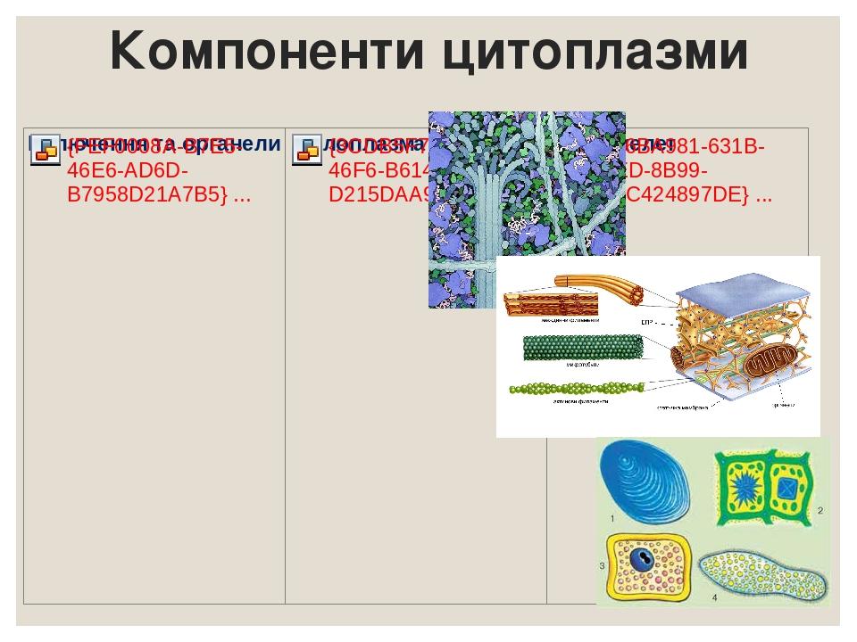 Компоненти цитоплазми