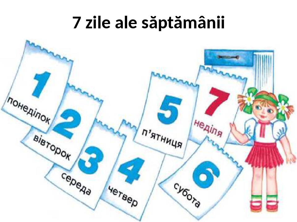 «Misterul cifrei magice. Cifra 7»