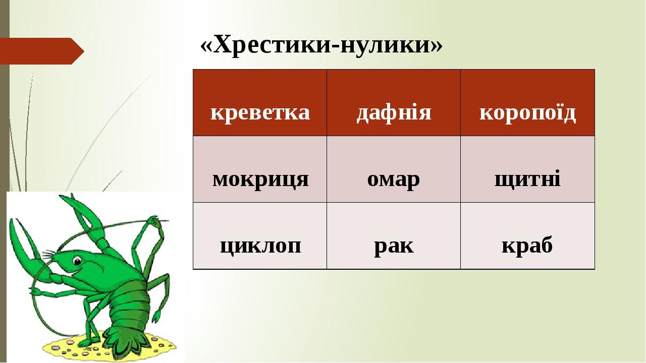 К какому классу членистоногих относится Циклоп. К какой группе животных относится Циклоп. Циклоп к какому виду насекомых рыб относится. К какому классу относится гнус.