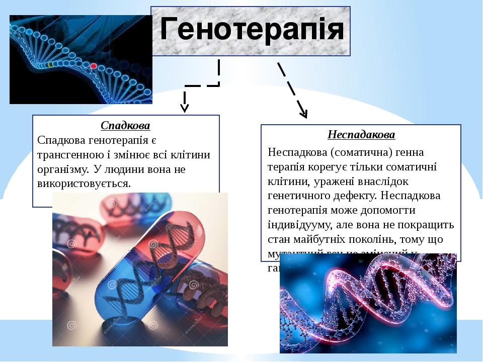 Генотерапія та її перспективи проект