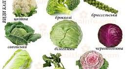 Виховна година "В капустини іменини"