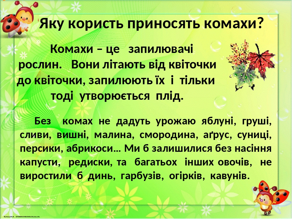 Я досліджую світ, 2 клас. Презентація " Як зимують комахи"