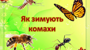 Я досліджую світ, 2 клас.  Презентація " Як зимують  комахи"