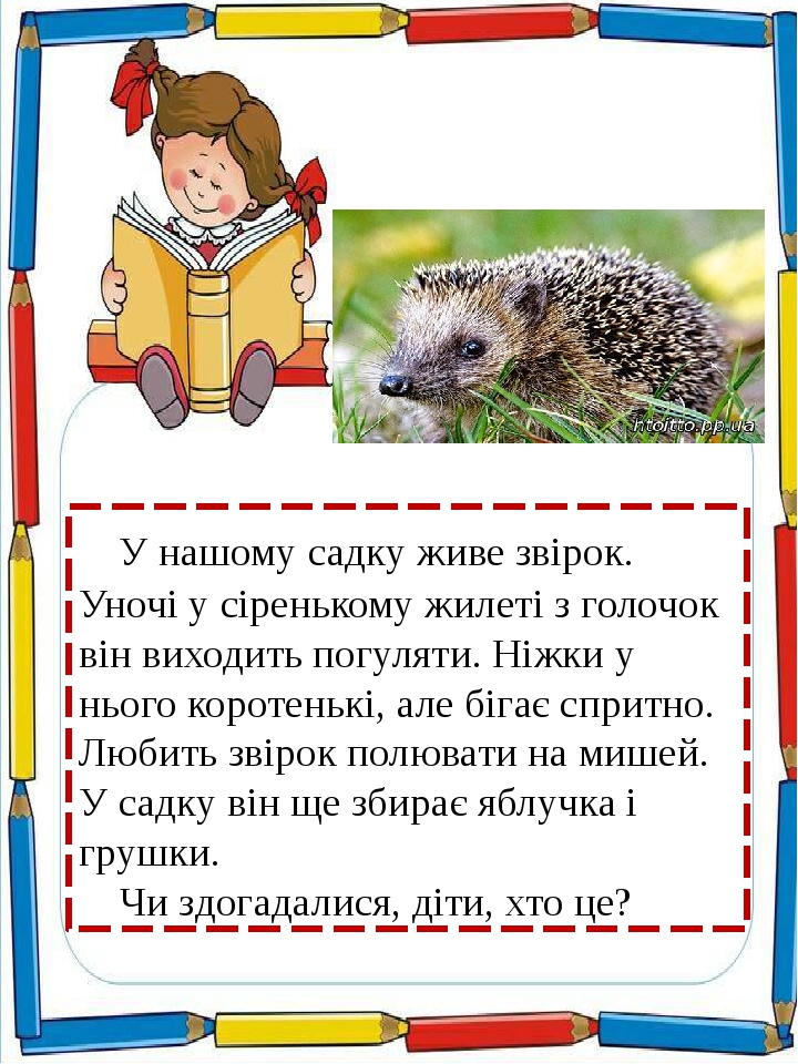 У нашому садку живе звірок. Уночі у сіренькому жилеті з голочок він виходить погуляти. Ніжки у нього коротенькі, але бігає спритно. Любить звірок п...