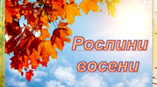 Презентація "Рослини восени". Я досліджую світ, 2 клас