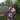 Аватар профіля