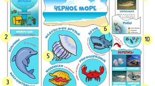 «Інтерактивна книга в навчанні дітей з особливими освітніми потребами»