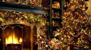 Тема:  "HOLIDAYS.SPECIAL DAYS. "