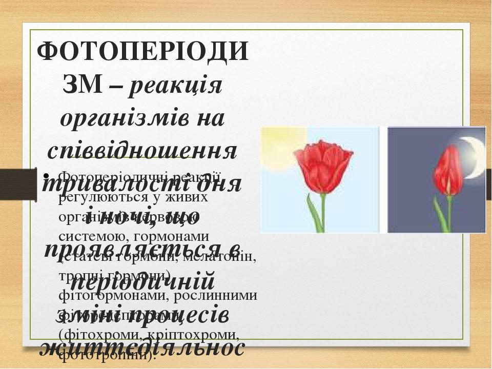 ФОТОПЕРІОДИЗМ – реакція організмів на співвідношення тривалості дня і ночі, що проявляється в періодичній зміні процесів життєдіяльності. Фотоперіо...