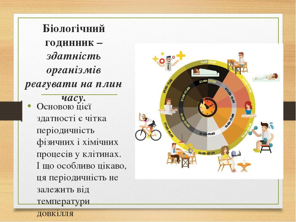 Біологічний годинник – здатність організмів реагувати на плин часу. Основою цієї здатності є чітка періодичність фізичних і хімічних процесів у клі...