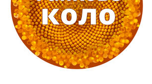 Ранкове КОЛО, соняшник