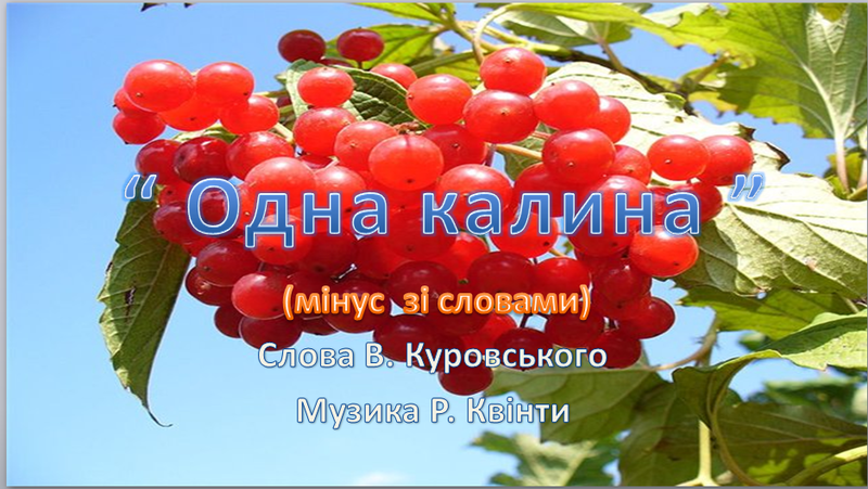 01007b31-1214-800x451.png