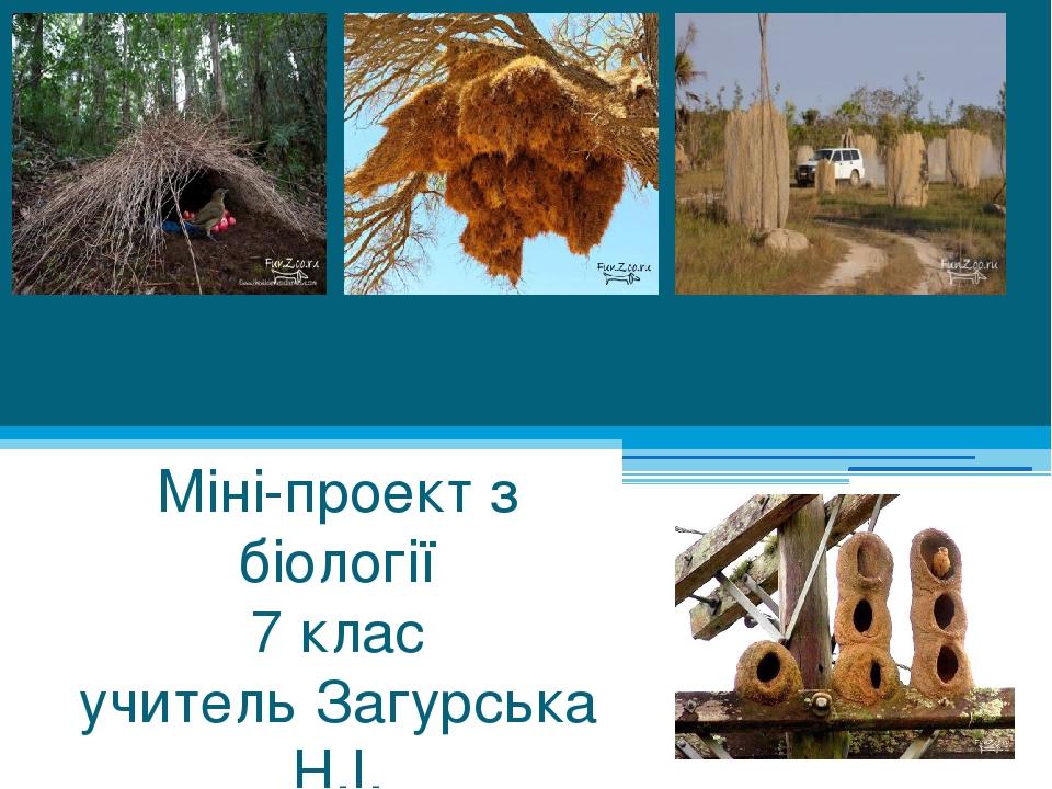 Тварини-будівельники Міні-проект з біології 7 клас учитель Загурська Н.І.