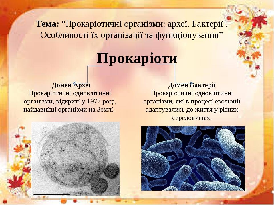 Тема: “Прокаріотичні організми: археї. Бактерії . Особливості їх організації та функціонування” Прокаріоти Домен Археї Прокаріотичні одноклітинні о...