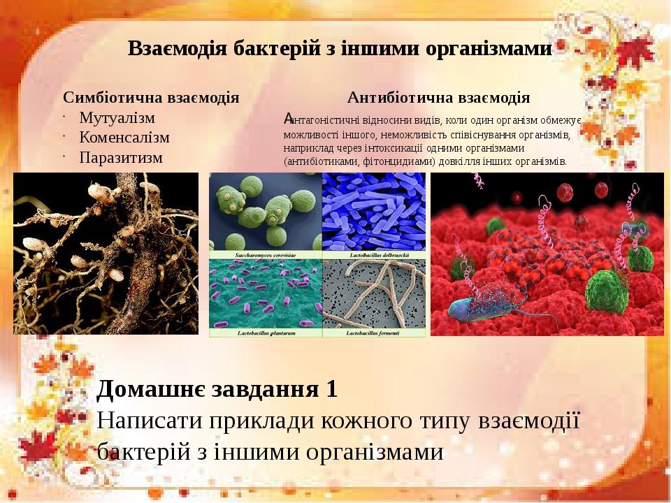 Взаємодія бактерій з іншими організмами Симбіотична взаємодія Мутуалізм Коменсалізм Паразитизм Антибіотична взаємодія Домашнє завдання 1 Написати п...