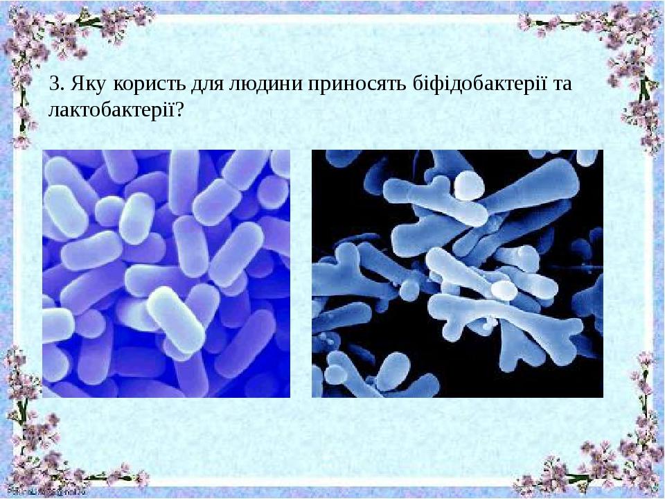 3. Яку користь для людини приносять біфідобактерії та лактобактерії?