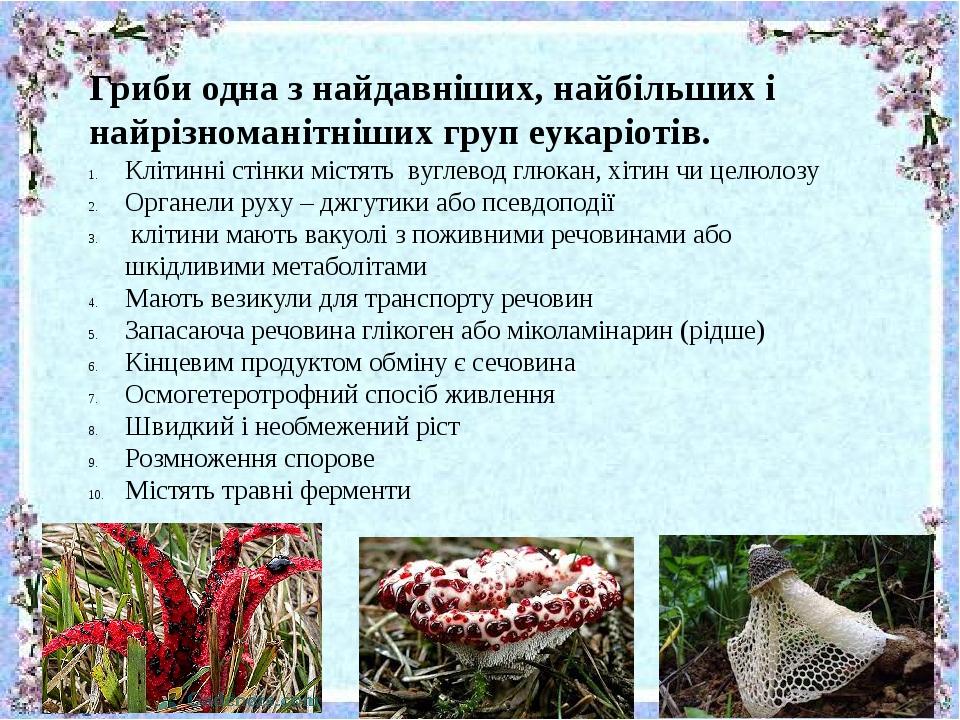 Гриби одна з найдавніших, найбільших і найрізноманітніших груп еукаріотів. Клітинні стінки містять вуглевод глюкан, хітин чи целюлозу Органели руху...