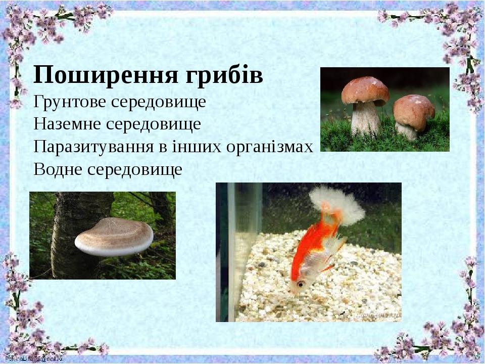 Поширення грибів Грунтове середовище Наземне середовище Паразитування в інших організмах Водне середовище