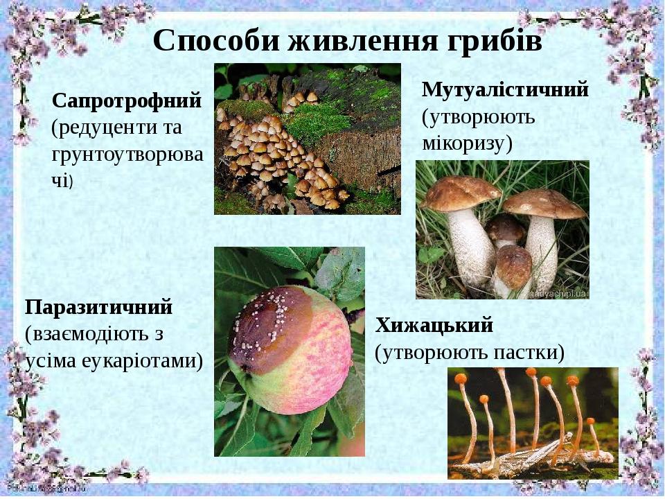 Способи живлення грибів Сапротрофний (редуценти та грунтоутворювачі) Паразитичний (взаємодіють з усіма еукаріотами) Мутуалістичний (утворюють мікор...