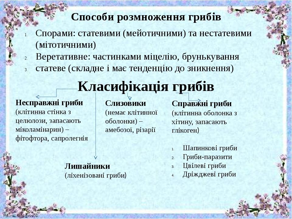 Способи розмноження грибів Спорами: статевими (мейотичними) та нестатевими (мітотичними) Веретативне: частинками міцелію, брунькування статеве (скл...