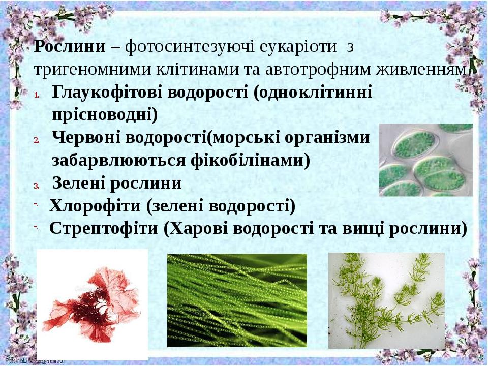 Рослини – фотосинтезуючі еукаріоти з тригеномними клітинами та автотрофним живленням Глаукофітові водорості (одноклітинні прісноводні) Червоні водо...