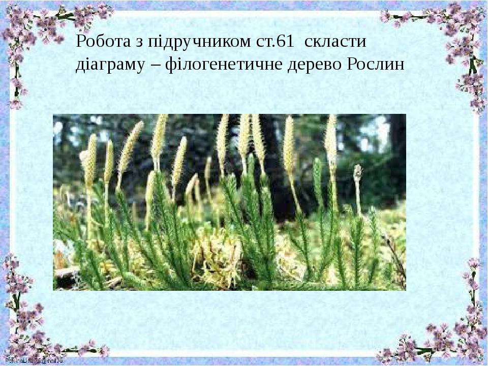 Робота з підручником ст.61 скласти діаграму – філогенетичне дерево Рослин