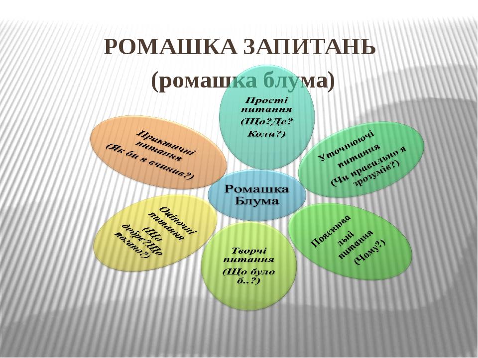 Ромашка блума презентация