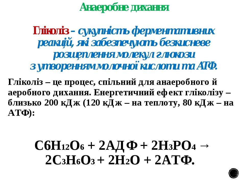 Prezentaciya Klitinne Dihannya Jogo Biohimichni Mehanizmi