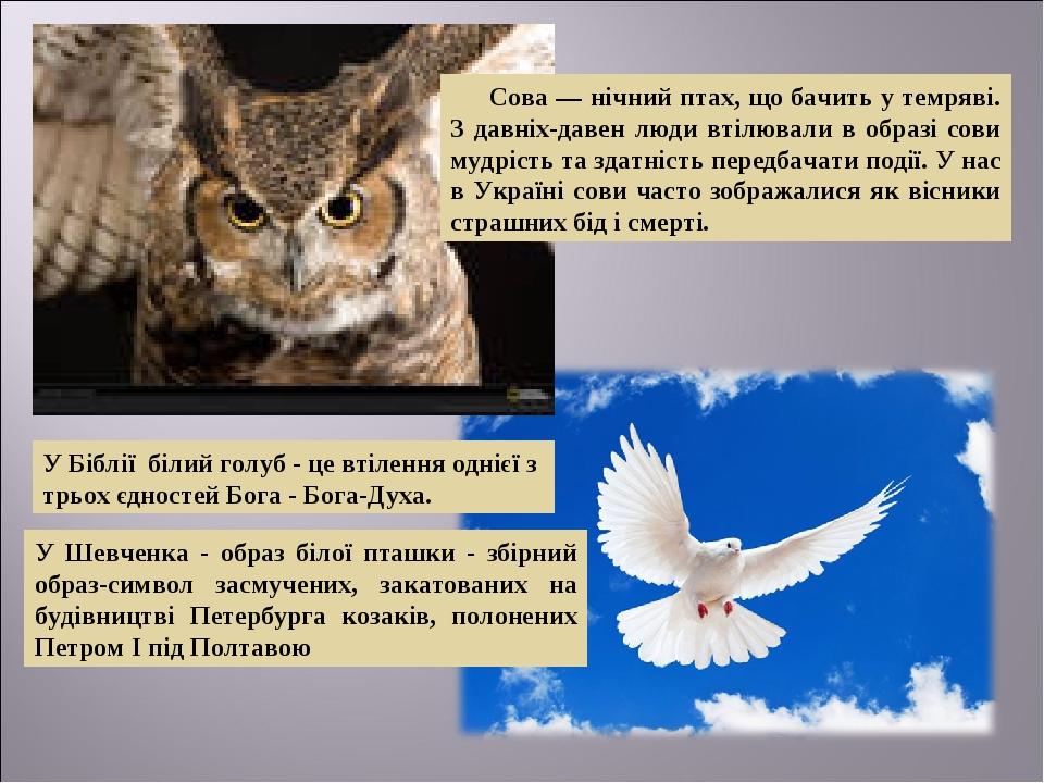 Сова — нічний птах, що бачить у темряві. З давніх-давен люди втілювали в образі сови мудрість та здатність передбачати події. У нас в Україні сови ...